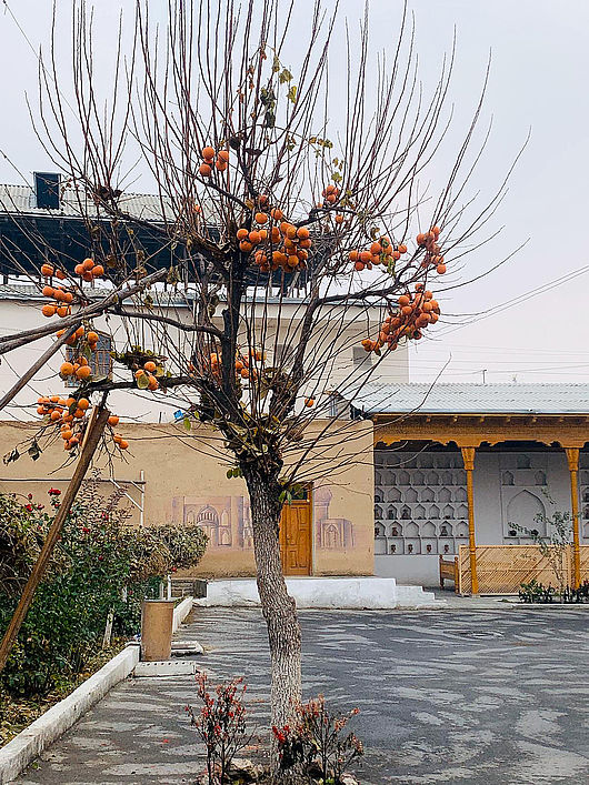 Yodgorlik Silk factory, Usbekistan