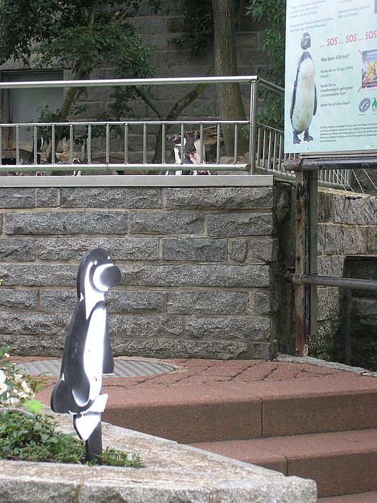 Falscher Pinguin begegnet Artgenossen // Florian Schregelmann und Franziska Zeller